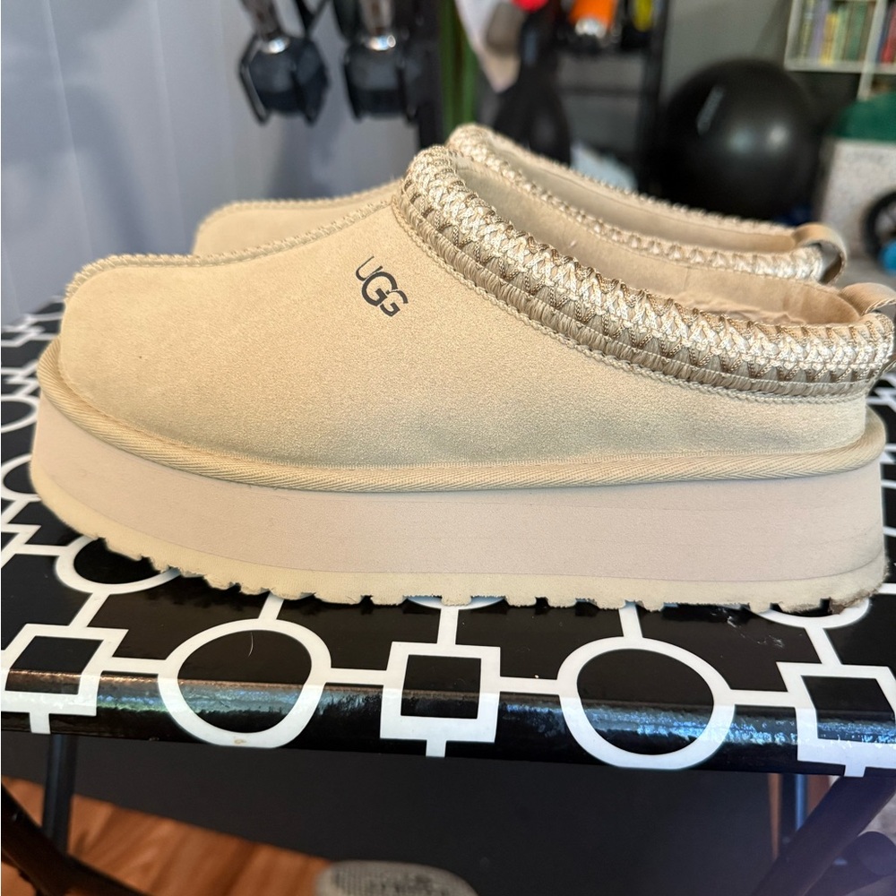 Ugg Tazz in Mustard Seed